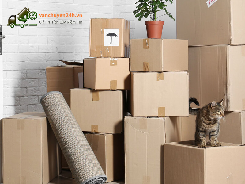 Cách chuyển nhà khi có thời tiết xấu bạn cần biết