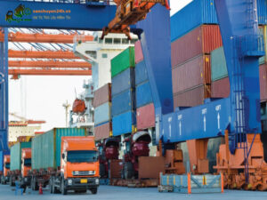 Loại hàng hóa nên sử dụng vận tải container