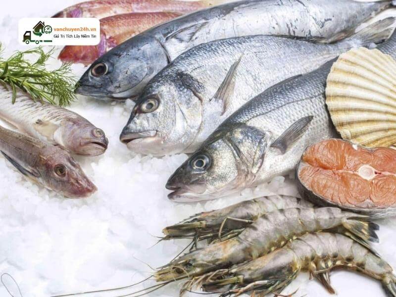 Bạn luôn cần quan tâm đến cách đóng gói và bảo quản khi vận chuyển hàng tươi sống