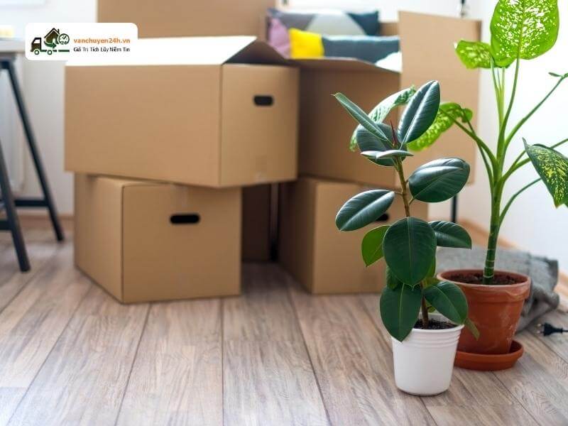 Nên chuyển nhà cuối năm hay đầu năm phải tính đến cả sự thuận tiện cho bạn Nên chuyển nhà cuối năm hay đầu năm phải tính đến cả sự thuận tiện cho bạn