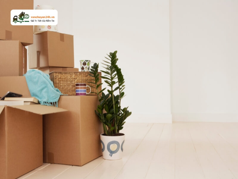 Đơn vị vận chuyển chuyên nghiệp